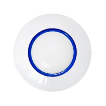 Wireless Ceiling mount PIR detector